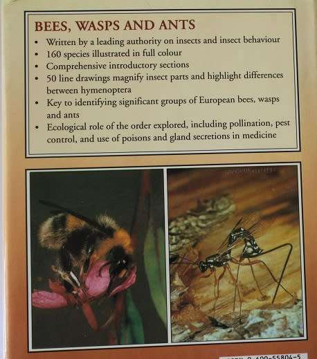 Bees, Wasps and Ants by J. Zahradnik. A Field guide to the world`s Hymenoptera.