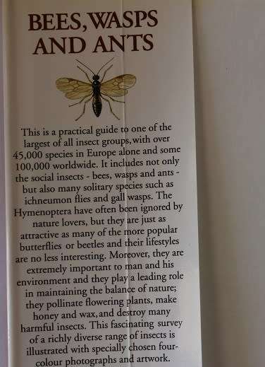 Bees, Wasps and Ants by J. Zahradnik. A Field guide to the world`s Hymenoptera.