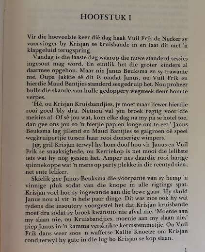 Die groot geveg deur Marilee McCallaghan. Jeugverhaal.