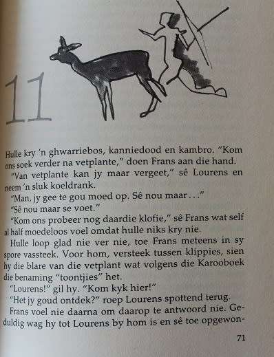Karoovonds deur Rena Schüler. Jeugverhaal
