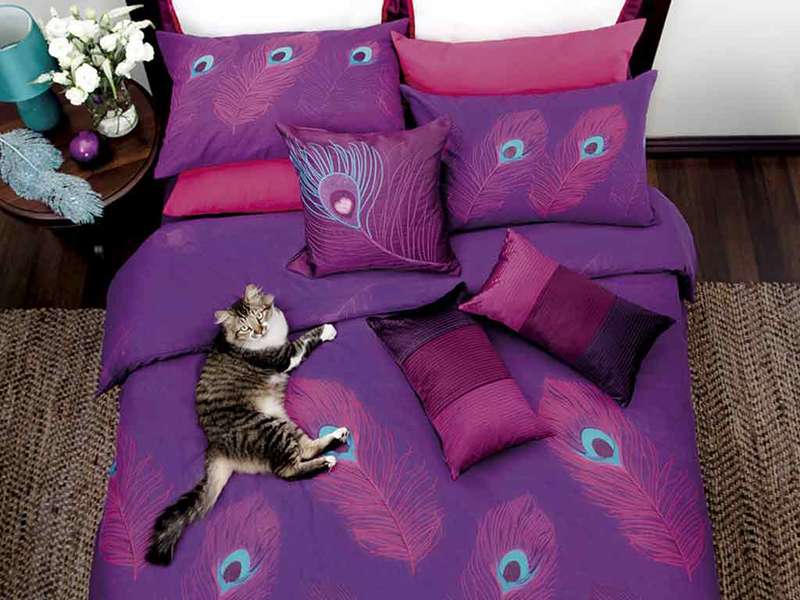 Peacock Duvet Set (Double Bed)