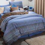 Hot NEW: Barcoded Blue Duvet Cover Set (Queen)