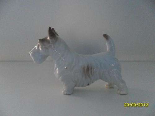 SMALL TERRIER DOG