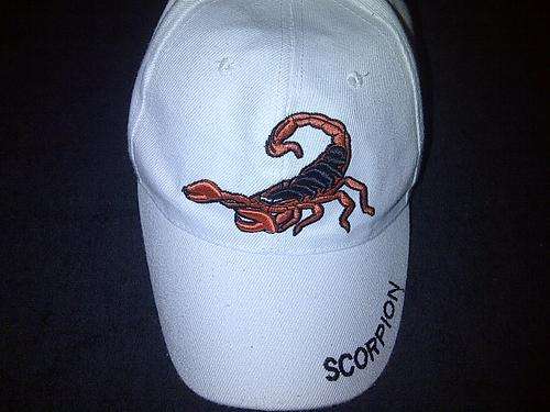 Scorpion cap