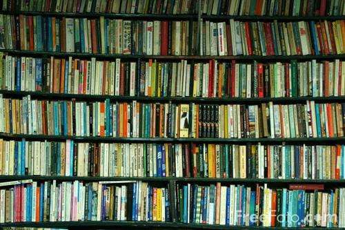 1 bid for 10 books from the list - you choose which 10