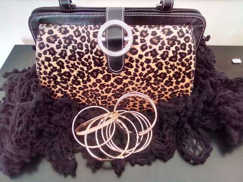 BRAND NEW Exquisite handbag combo