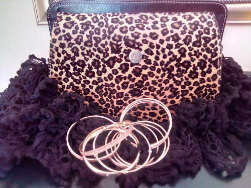 BRAND NEW Exquisite handbag combo