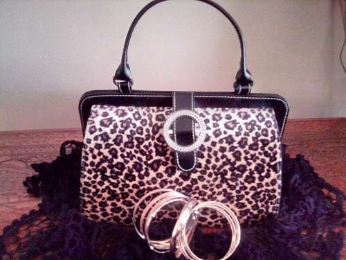 BRAND NEW Exquisite handbag combo