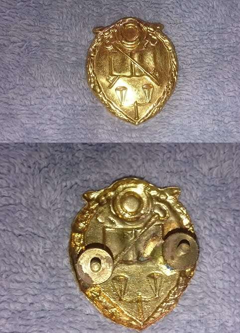 lot various SADF badges and insignia