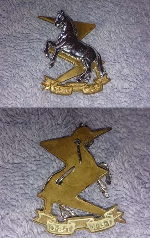 lot various SADF badges and insignia