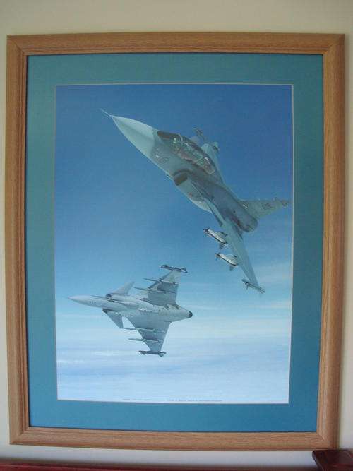 Gripen Fighter Jet