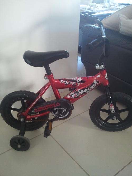 Raleigh kids bike