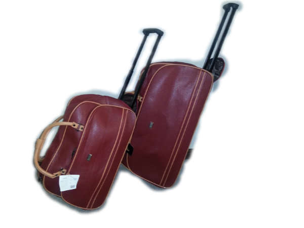 Fimont Twin Luggage Set
