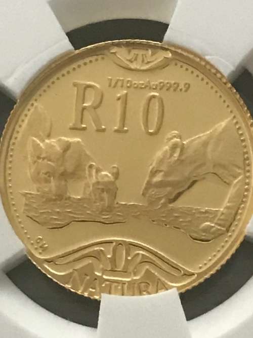 1/10th Natura Lion Graded PF68