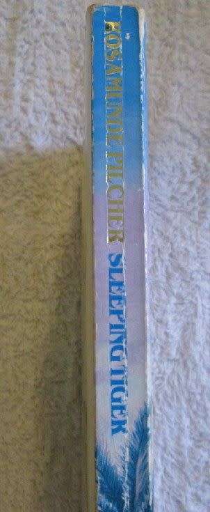 Sleeping Tiger - Rosamunde Pilcher