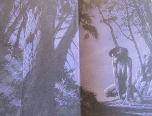 Wolves of  the Calla - Stephen King - Hardcover