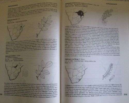 Trees of Southern Africa - Keith Coates Palgrave - Second Revised Edition