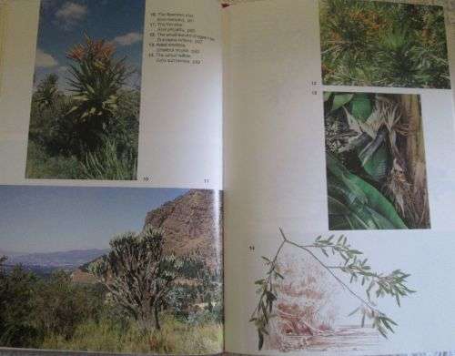 Trees of Southern Africa - Keith Coates Palgrave - Second Revised Edition