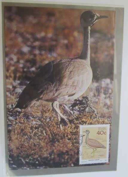 SWA - 1988 Birds of SWA 4 cards 16c, 30c, 40c, 50c
