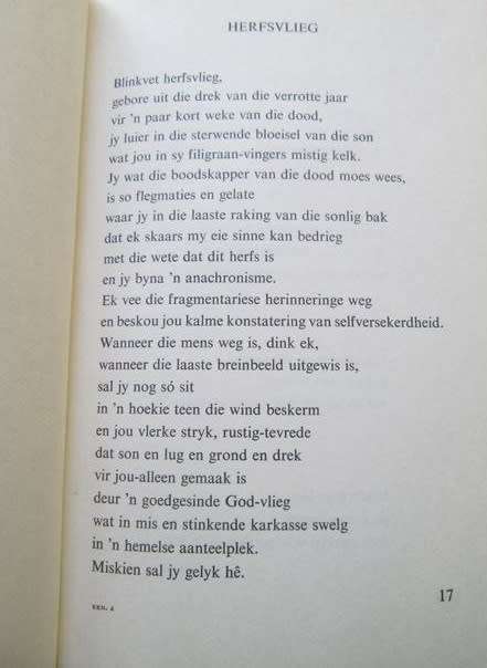 Eenhoring - Jacques Loots