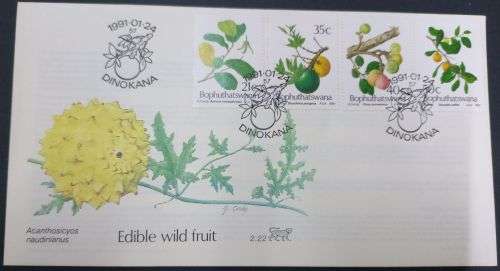 Bophuthatswana - 1991 Edible Wild Fruits FDC 2.22