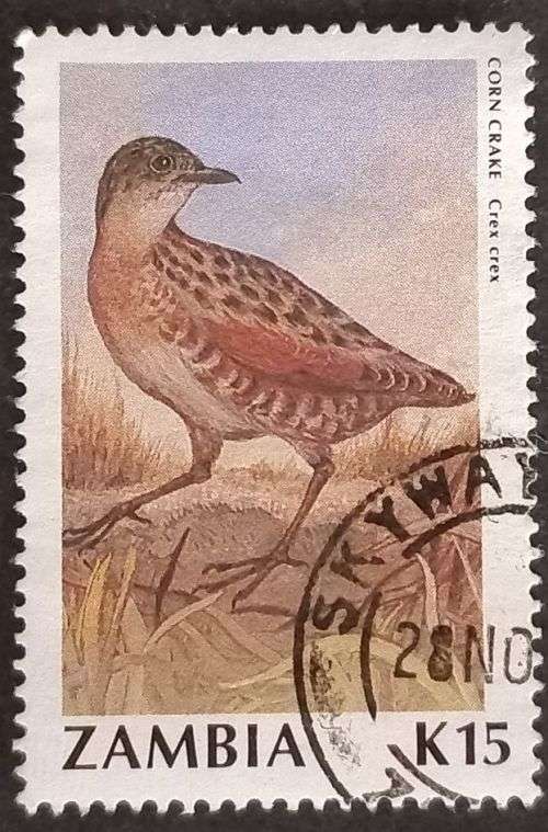 Zambia 1990 Birds K15 used