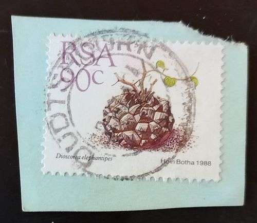 RSA 1988 Succulents 90c on piece with Oudtshoorn  cancellation