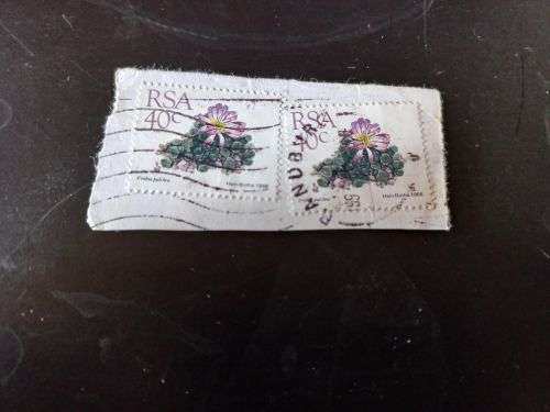 RSA 1988 Succulents 40c x 2 on piece Randburg cancellation