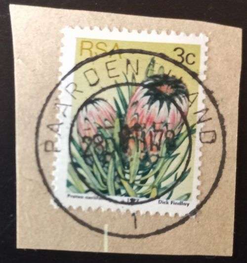 RSA - 1977 Flora - Protea Plants 3c on piece Paardeneiland postmark