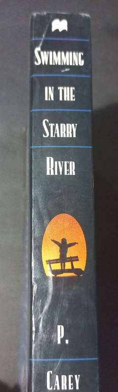 Swimming in the Starry River - P. Carey Reid -  Softcover - 374 pages