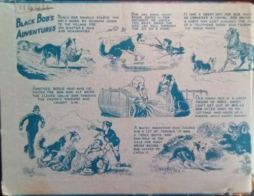 Black Bob - The Dandy Wonder Dog - Hardcover - 128 pages