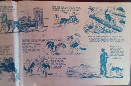 Black Bob - The Dandy Wonder Dog - Hardcover - 128 pages