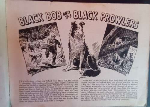 Black Bob - The Dandy Wonder Dog - Hardcover - 128 pages