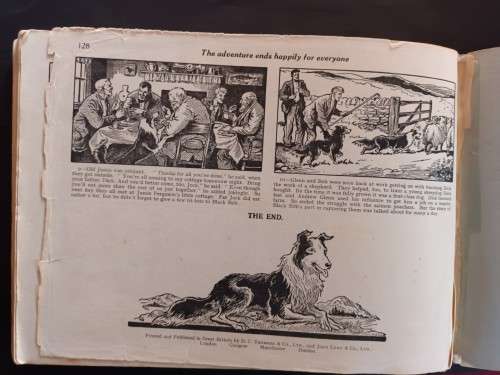 Black Bob - The Dandy Wonder Dog - Hardcover - 128 pages