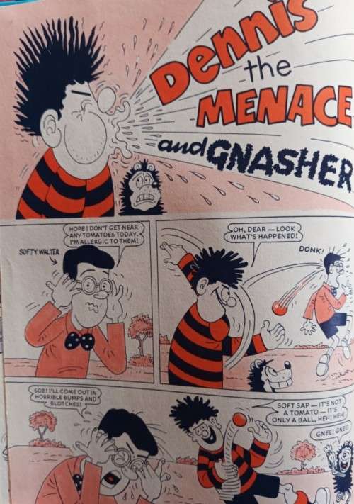 The Beano Book: 1987 - Hardcover