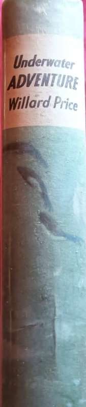 Underwater Adventure - Willard Price - Hardcover - 204 Pages