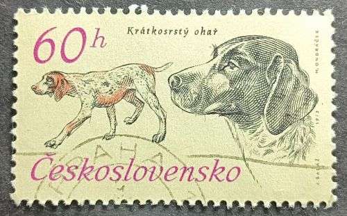 Czechoslovakia 1973 The 50th Anniv of Czechoslovak Hunting Organization - Hunting Dogs 60h used