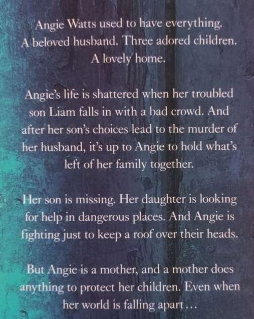 Home Truths - Susan Lewis - Hardcover - 424 Pages