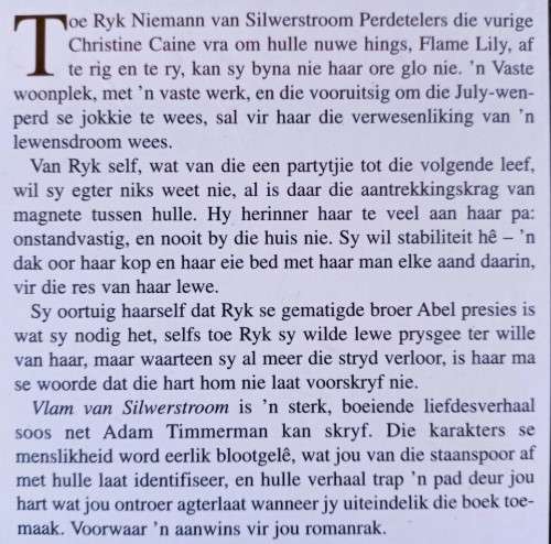 Vlam van Silwerstroom - Adam Timmerman - Hardcover - 151 Pages