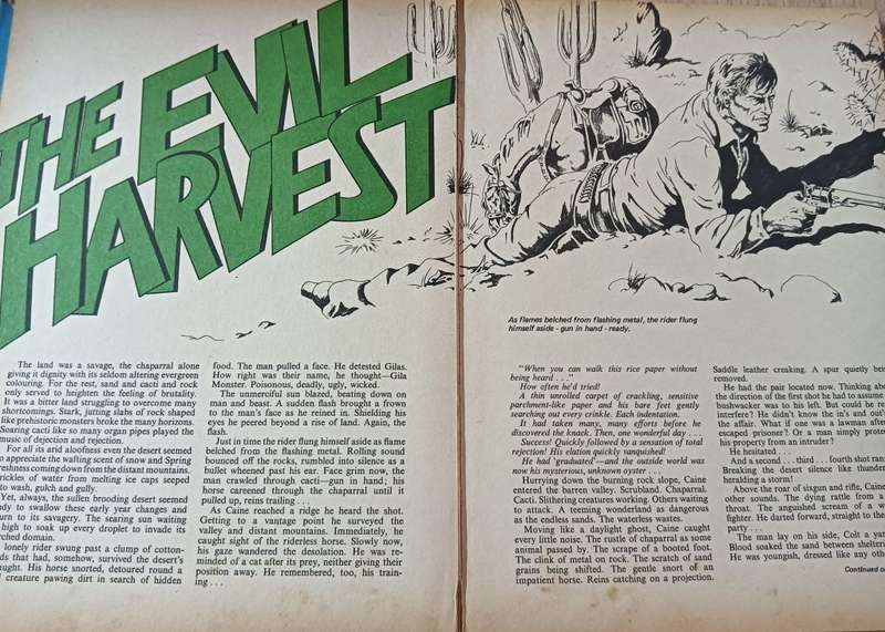 Kung Fu Annual - 1975 - Hardcover