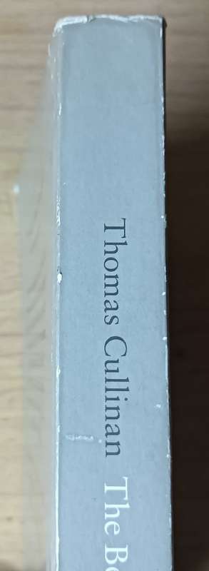 The Beguiled - Thomas Cullinan - Softcover - 372 pages