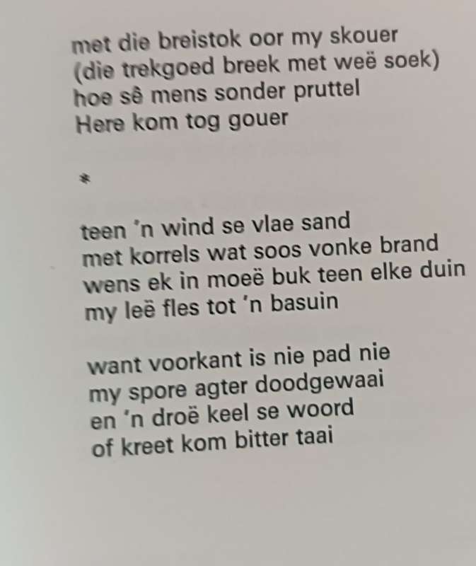 Voetvolk - Jan Spies - Hardcover - 53 pages