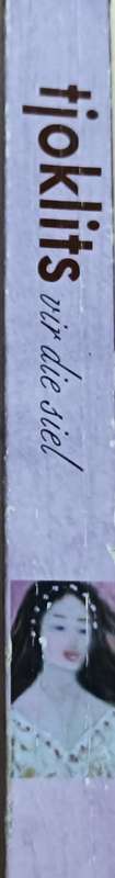 Tjoklits vir die Siel - Susan Coetzer - Softcover - 314 pages