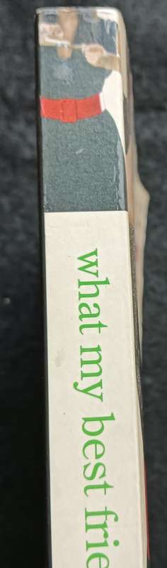 What my Best Friend Did - Lucy Dawson - Softcover - 279 pages