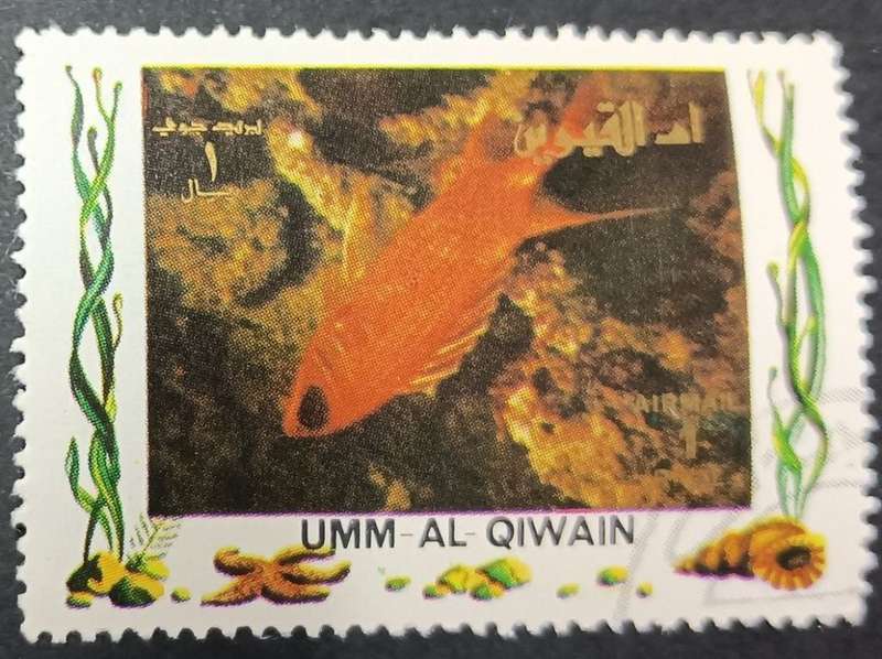 Umm Al Qiwain 1972 1972 Airmail - Tropical Fish - Size: 46 x 33mm 1R used