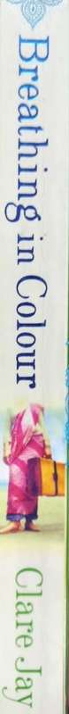 Breathing in Colour - Clare Jay - Softcover - 280 Pages