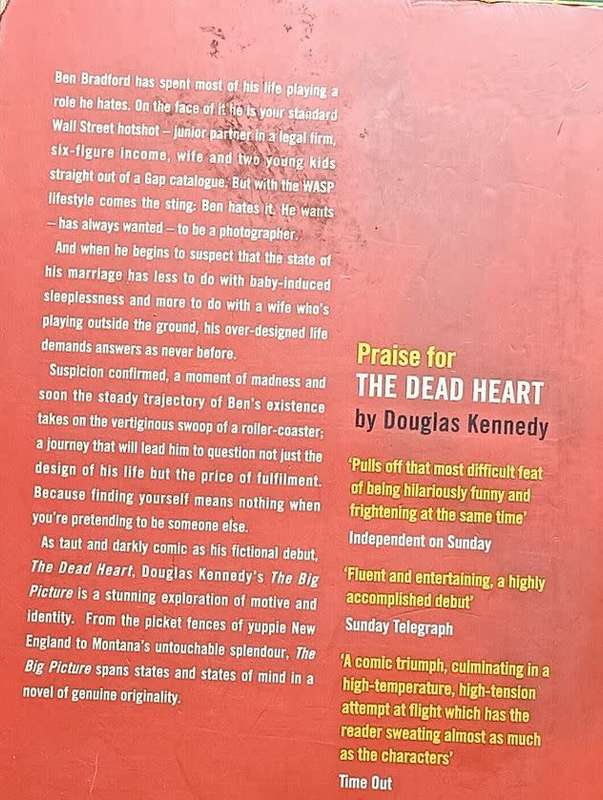 The Big Picture - Douglas Kennedy - Large Softcover - 374 pages