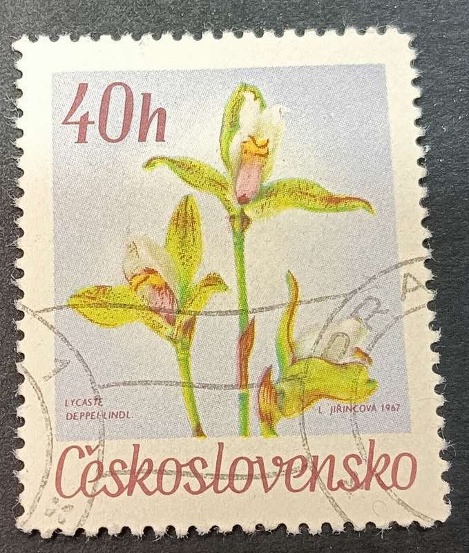 Czechoslovakia 1967 Botanical Garden Flowers 40h used