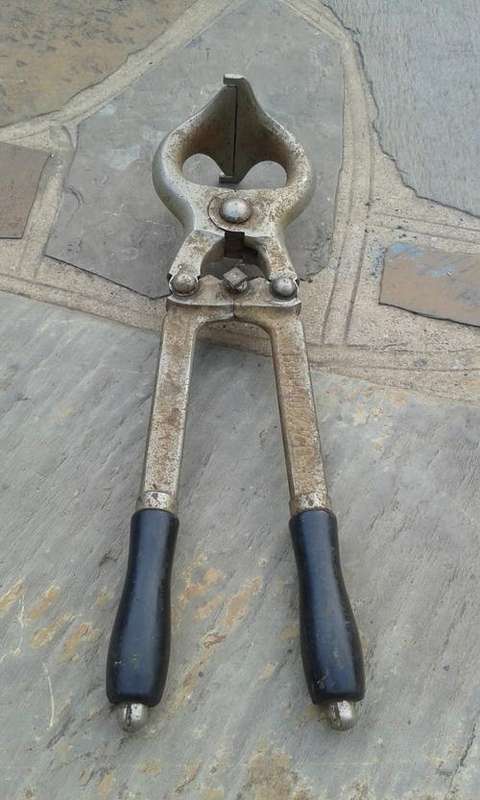 Vintage 16" Burdizzo Bull Castrator (Made in Italy)