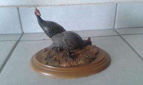 Feathers of Knysna Wildlife Collection Guinea Fowl Family